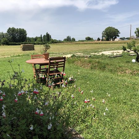 Le Mas Marguerite Arles Bagian luar foto