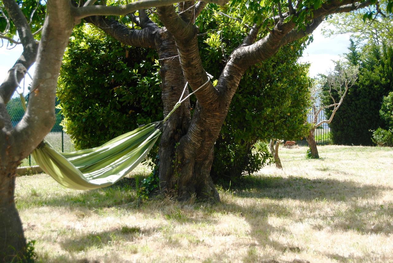 Le Mas Marguerite Arles Bagian luar foto