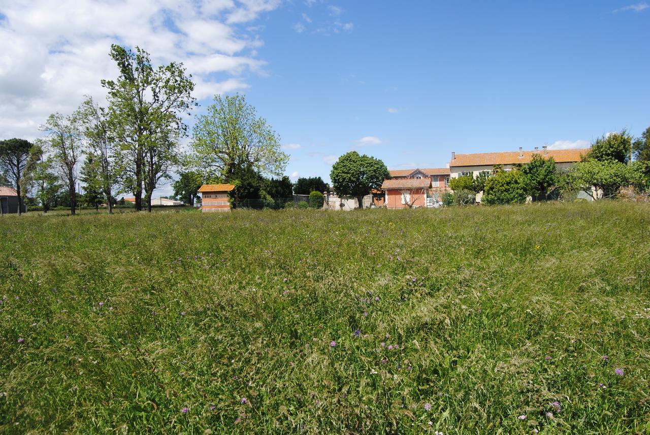 Le Mas Marguerite Arles Bagian luar foto