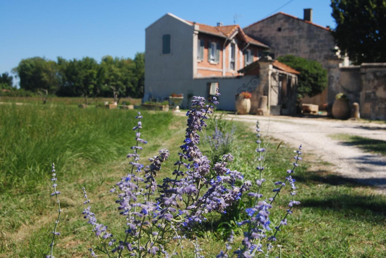 Le Mas Marguerite Arles Bagian luar foto