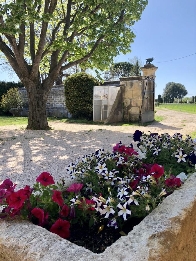Le Mas Marguerite Arles Bagian luar foto
