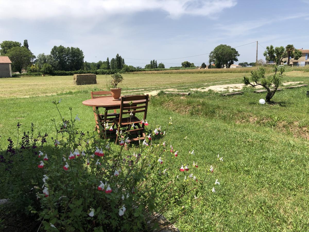 Le Mas Marguerite Arles Bagian luar foto